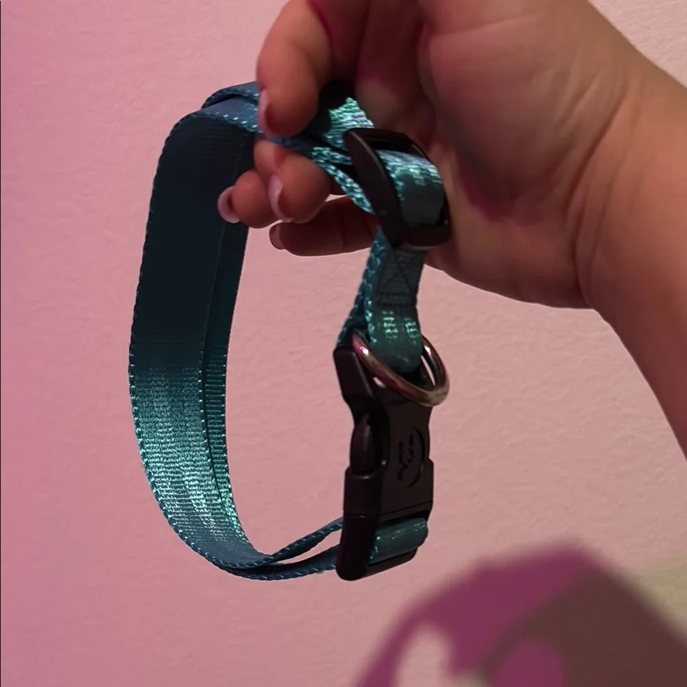 Teal Adjustable Dog Collar